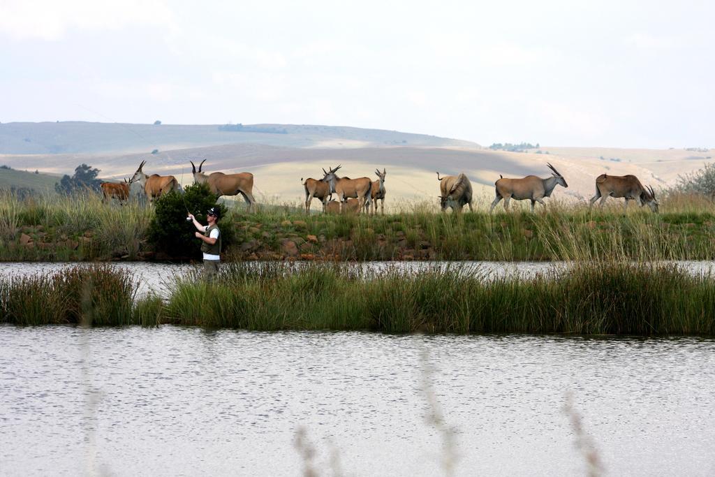 Hostal Elandskloof Trout Farm Dullstroom Exterior foto